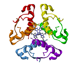 Lam-ULiege | The Laboratory for the Analysis of Medicines (LAM) has developed a solid expertise in drug analysis and bioanalysis.